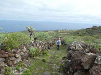 Spanien, El Hierro, Wanderung Lavafelder