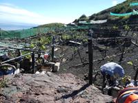 Spanien, El Hierro, Wanderung Lavafelder