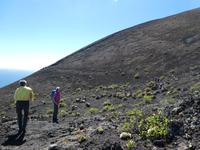 Spanien, El Hierro, Wanderung Lavafelder