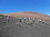 Spanien, El Hierro, Wanderung Lavafelder