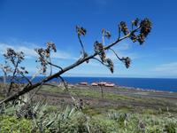 Spanien, El Hierro, Flughafen