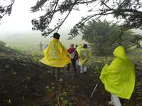 Spanien, El Hierro, Wanderung Sabinas
