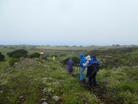 Spanien, El Hierro, Wanderung Sabinas