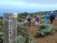 Spanien, El Hierro, Wanderung Sabinas