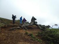 Spanien, El Hierro, Wanderung Sabinas
