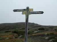 Spanien, El Hierro, Wanderung Sabinas