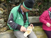 Spanien, El Hierro, Wanderung Sabinas