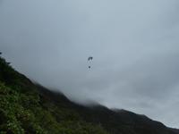 Spanien, El Hierro, Wanderung Sabinas