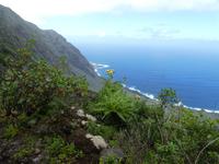 Spanien, El Hierro, Wanderung nach Sabinosa