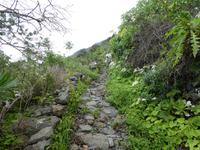 Spanien, El Hierro, Wanderung nach Sabinosa