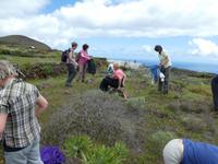 Spanien, El Hierro, Wanderung nach La Restinga