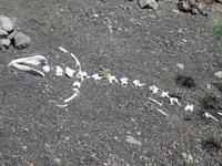 Spanien, El Hierro, ECO Museum und Lagatario