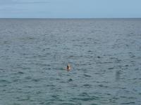 Spanien, El Hierro, La Caleta