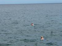 Spanien, El Hierro, La Caleta