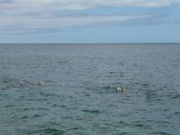 Spanien, El Hierro, La Caleta