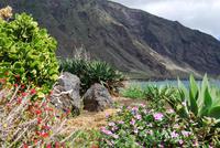 Las Playas - El Hierro