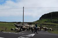 El Hierro - Inselrundfahrt