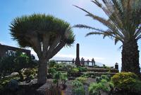 El Hierro - Inselrundfahrt - Mirador de La Peña