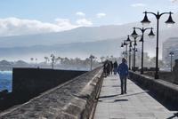 Rundgand Puerto de la Cruz - Hafen