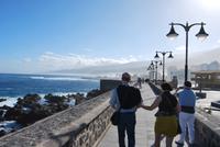 Rundgand Puerto de la Cruz - Hafen