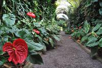 Puerto de la Cruz - Botanischer Garten