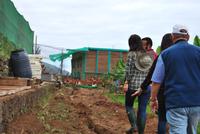 Los Realejos - Casa Rual - El Patio de Tita - Bananenplantage