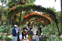 Santa Cruz de Tenerife - Parque García Sanabria
