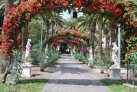 Santa Cruz de Tenerife - Parque García Sanabria