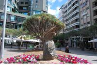 Santa Cruz de Tenerife 