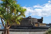 Santa Cruz de Tenerife