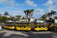 Puerto de la Cruz - Loro Parque Bimmelbahn