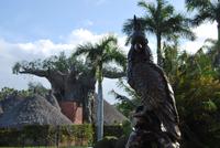 Puerto de la Cruz - Loro Parque