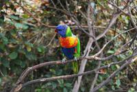 Puerto de la Cruz - Loro Parque