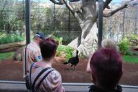 Puerto de la Cruz - Loro Parque