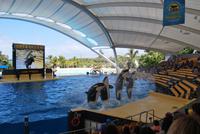 Puerto de la Cruz - Loro Parque