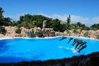 Puerto de la Cruz - Loro Parque