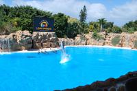 Puerto de la Cruz - Loro Parque