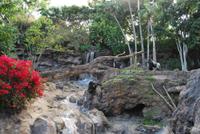 Puerto de la Cruz - Loro Parque