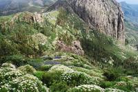 La Gomera - Roque de Agando