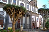 La Laguna - Kathedrale
