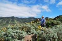Teno-Gebirge - Mirador Altos de Baracán