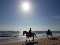 Rota am Atlantik Ozean