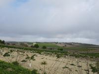 Donana National Park - Von Trebujena bis Sanlucar de Barrameda