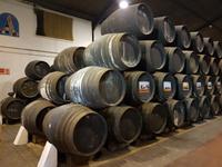 Bodega Verkostung in Sanlucar de Barrameda