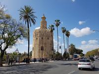 Torre del Oro in Sevilla