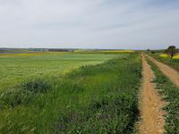 Via Verde de la Campina bei Cordoba bis La Carlota