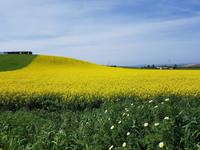 Via Verde de la Campina bei Cordoba bis La Carlota