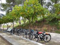 Via Verde del Aceite