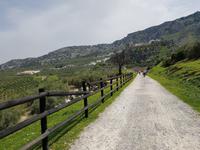 Via Verde del Aceite