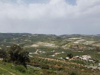 Via Verde del Aceite